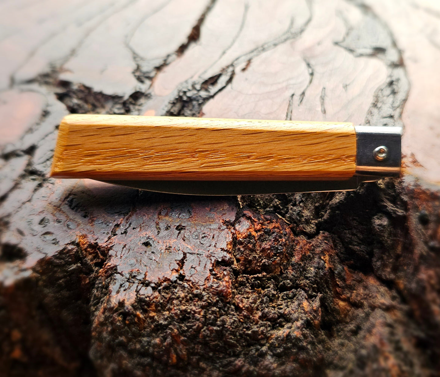 Beech Wood MAM Pocket Knife