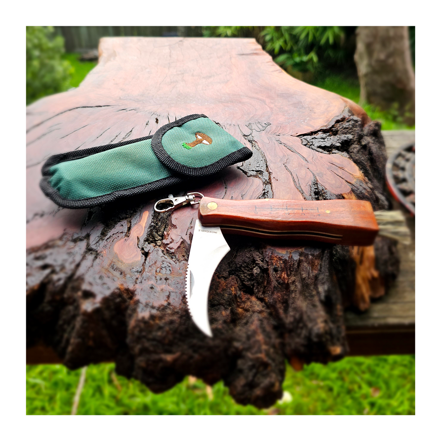 Mushroom Knife