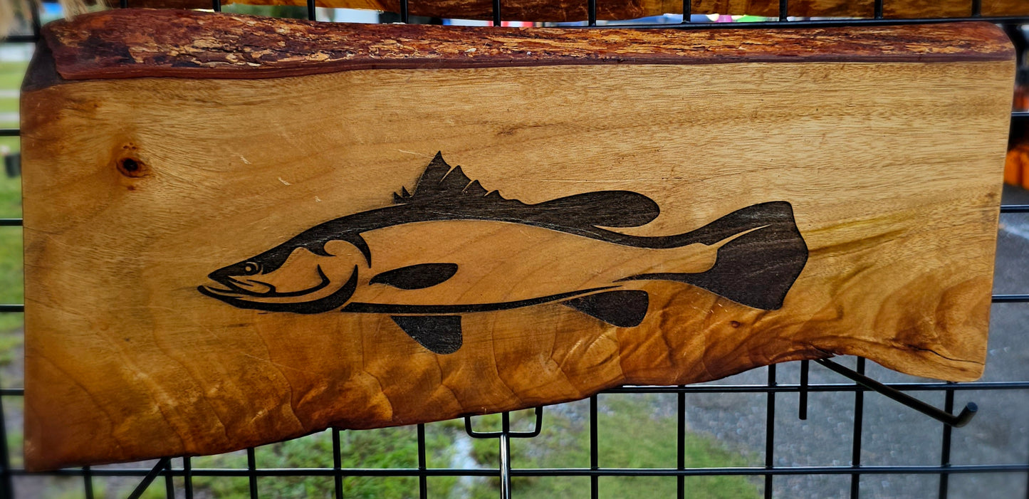 Barra on Camphor